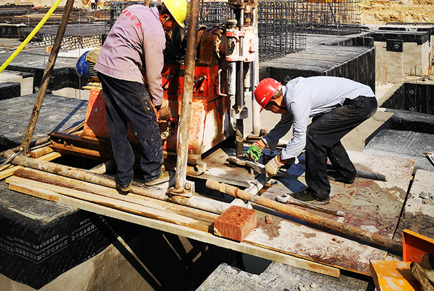 ��׮��о���